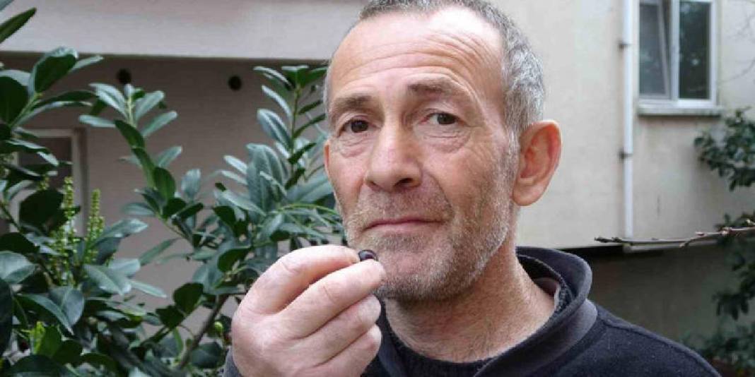 Mevsiminden 3 ay erken meyve verdi: Tadının güzelliği daha da şaşırttı 3